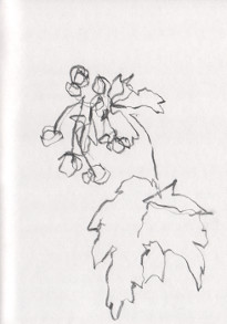 24x32 Dessin