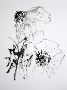 L'anemone représentée sur peinture