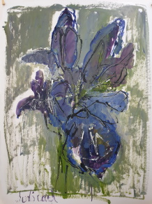 L'iris représentée sur peinture