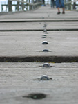 Photo de l'estacade, sur la passerelle